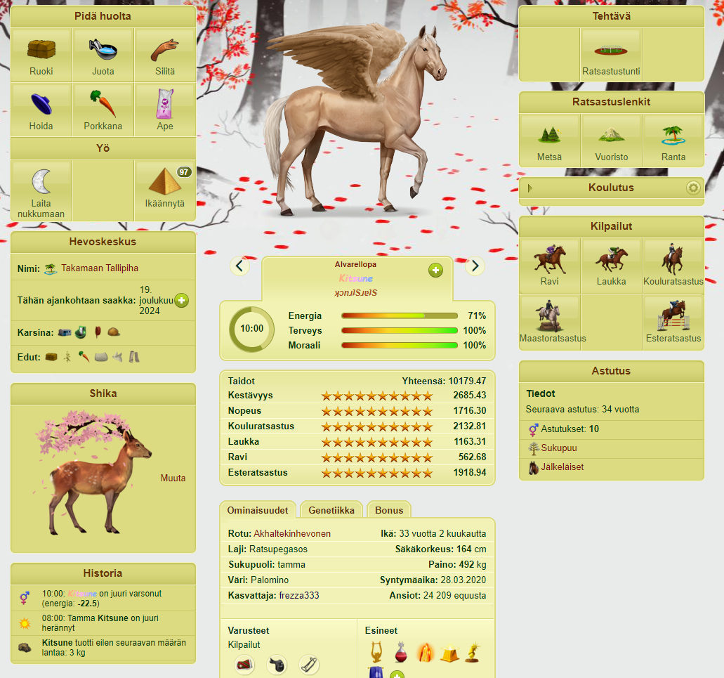 Hevosen hoitonäkymä